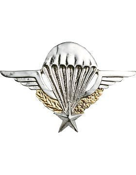 No-Shine (NS-976) French Large Parachutist Wings (Nickel and Gold Finish)