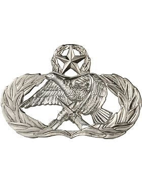 USAF Badge (AF-341C) Master Aircraft Munitions Maintenance No Shine