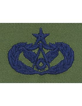 AF-S372 Senior Civil Engineer USAF Sew-On Subdued