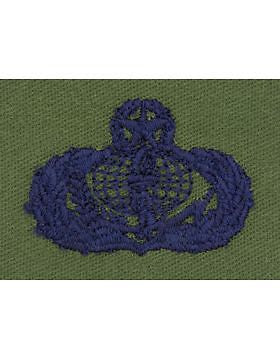AF-S379 Master Services USAF Sew-On Subdued