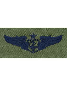 AF-S318 Senior Flight Nurse USAF Sew-On Subdued