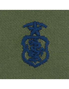 AF-S212 Master Nurse USAF Sew-On Subdued