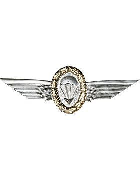 No-Shine (NS-953) Large German Parachutist