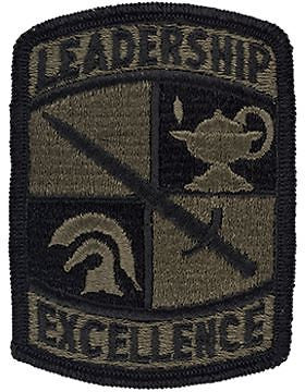 ROTC Cadet Command Leadership Excellence Subdued Patch