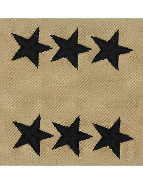 AF-SD109 Lieutenant General (Point to Center) USAF Sew-On Desert
