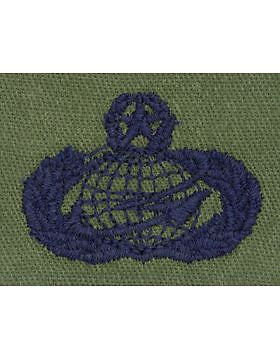 AF-S385 Master Manpower and Personnel USAF Sew-On Subdued
