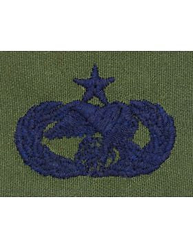 AF-S399 Senior Transportation USAF Sew-On Subdued