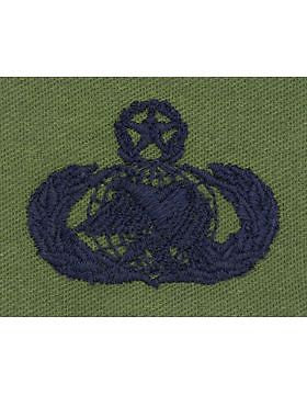 AF-S382 Master Logistics USAF Sew-On Subdued