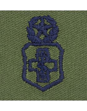 AF-S346 Master Medical Technician USAF Sew-On Subdued