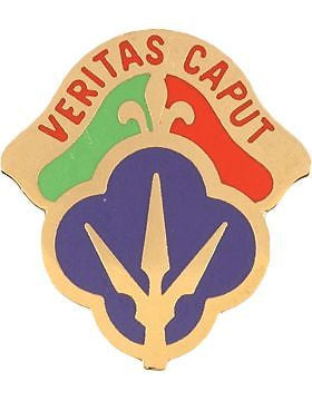 0088 Regional Support Command Unit Crest (Verita Caput)