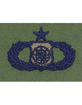 AF-S336 Senior Weapons Controller USAF Sew-On Subdued
