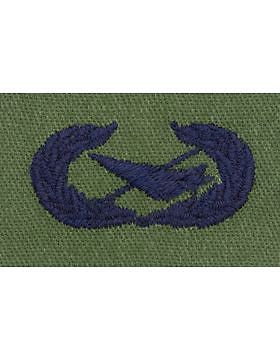 AF-S368 Basic Historian USAF Sew-On Subdued