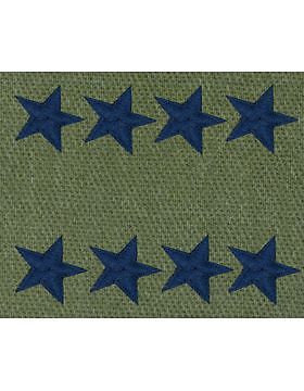 AF-S125C General (Point to Center) USAF Sew-On Subdued