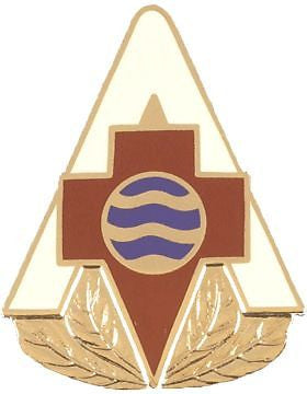 0075 Combat Support Hospital Unit Crest (No Motto)