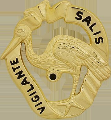 191 Infantry Bde Unit Crest (Vigilante Salis)