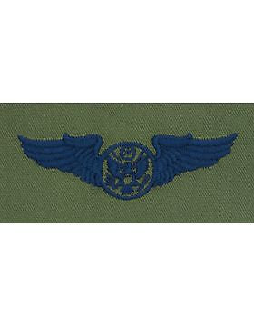 AF-S307 Basic Enlisted Aircrew Member USAF Sew-On Subdued