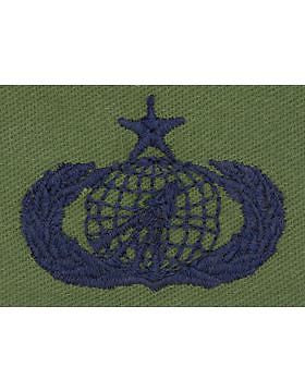 AF-S396 Senior Acquisition USAF Sew-On Subdued