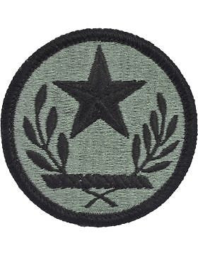 Texas National Guard Headquarters ACU Patch with Fastener (PV-NG-TX)