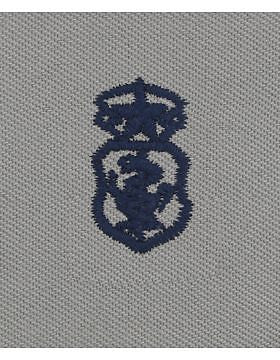 AF-SA212 Master Nurse USAF Sew-On ABU