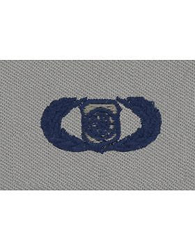 AF-SA335 Basic Weapons Controller USAF Sew-On ABU