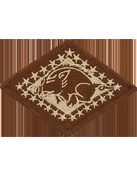 Arkansas National Guard Headquarters Desert Patch (P-NG-AR-D)