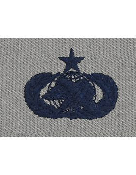 AF-SA381 Senior Logistics USAF Sew-On ABU