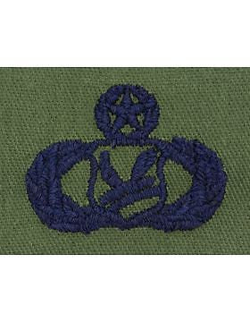 AF-S376 Master Chapel Management USAF Sew-On Subdued