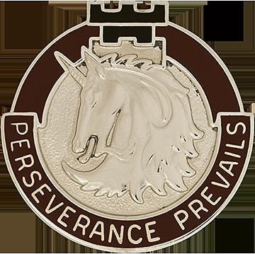 49 Medical Battalion Unit Crest (Perseverance Prevails)