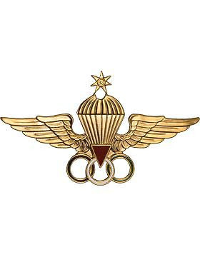 No-Shine (NS-965) Jordanian Master Parachutist Wings