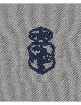 AF-SA218 Master Medical Services USAF Sew-On ABU