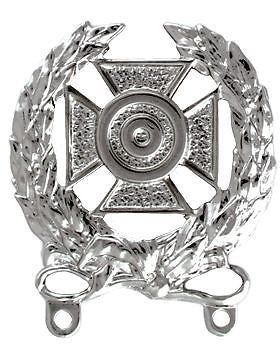 No-Shine Badge (NS-352) Expert Badge
