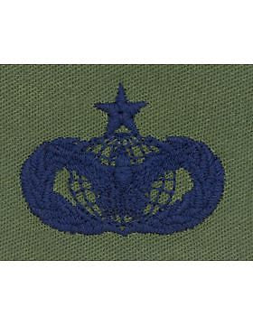 AF-S360 Senior Law Enforcement USAF Sew-On Subdued