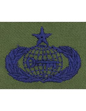 AF-S393 Senior Intelligence USAF Sew-On Subdued