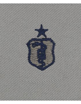AF-SA208 Senior Dentist USAF Sew-On ABU