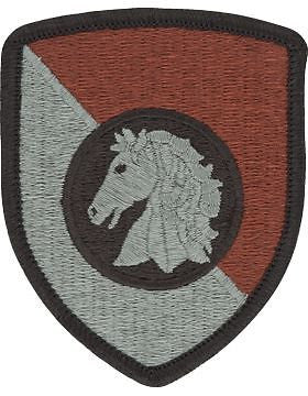 0300 Sustainment Bde ACU with Fastener (PV-0300C)