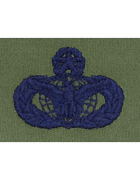 AF-S361 Master Law Enforcement USAF Sew-On Subdued