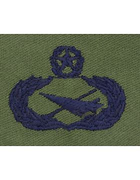 AF-S370 Master Historian USAF Sew-On Subdued