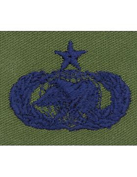 AF-S381 Senior Logistics USAF Sew-On Subdued
