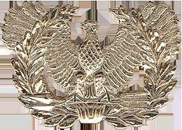 No-Shine Rank (NS-421) Warrant Officer Cap Device