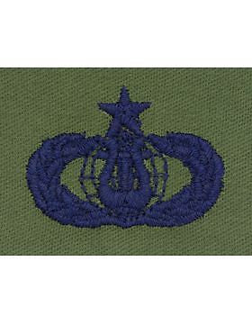 AF-S364 Master Band USAF Sew-On Subdued