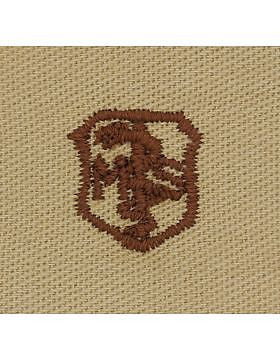AF-SD216 Basic Medical Services USAF Sew-On Desert