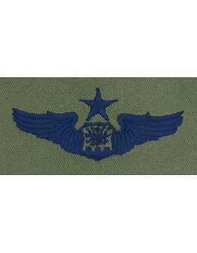 AF-S305 Senior Navigator Observer USAF Sew-On Subdued