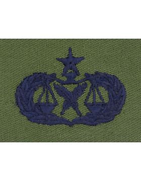 AF-S402 Senior Paralegal USAF Sew-On Subdued